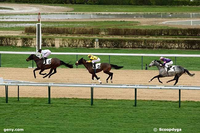 05/01/2013 - Deauville - Prix de la Croix Mesnil : Ankunft