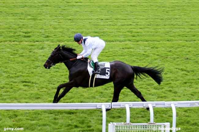 06/05/2013 - Maisons-Laffitte - Prix d'Andresy : Arrivée