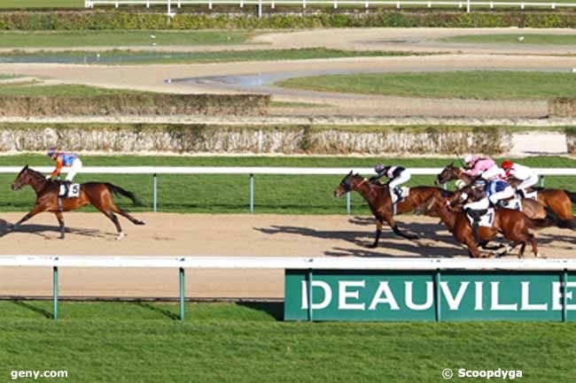 13/01/2014 - Deauville - Prix de la Tête au Loup : Arrivée