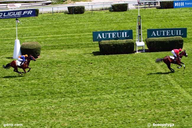 22/05/2015 - Auteuil - Prix Caldarium : Ankunft