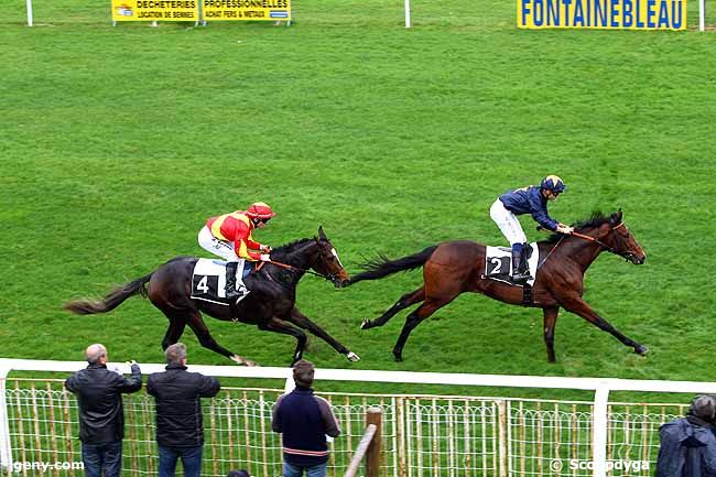 19/11/2015 - Fontainebleau - Prix de la Sapinière : Result