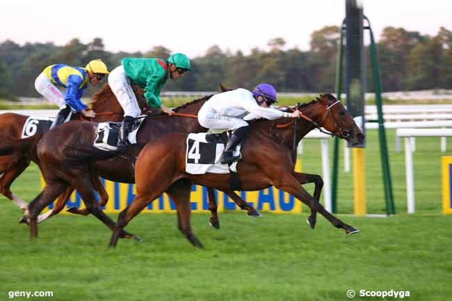 13/09/2016 - Fontainebleau - Prix de Château Landon : Arrivée