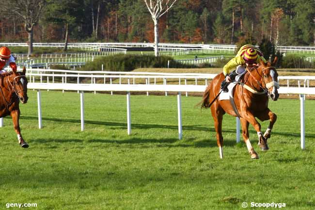 28/11/2017 - Fontainebleau - Prix de la Grotte des Ermites : Ankunft