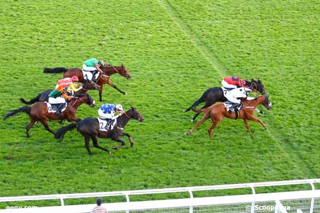 03/10/2019 - Auteuil - Prix Mirrikh : Ankunft