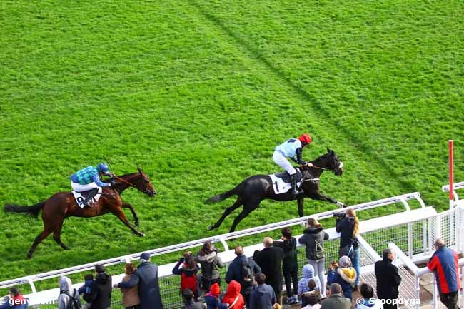 02/11/2019 - Auteuil - Prix Haras d'Etreham - Prix Bournosienne : Result