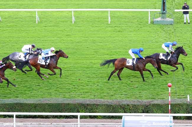 05/11/2019 - Saint-Cloud - Prix Isola Bella : Arrivée