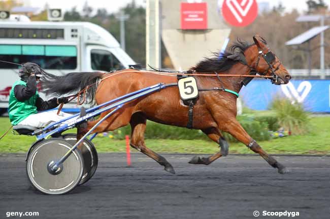 17/11/2020 - Vincennes - Prix Dynamène : Arrivée