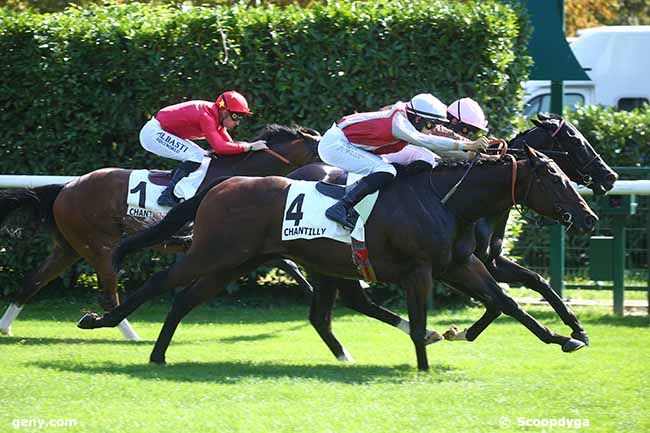 09/09/2023 - Chantilly - Prix de l'Hemicycle : Arrivée