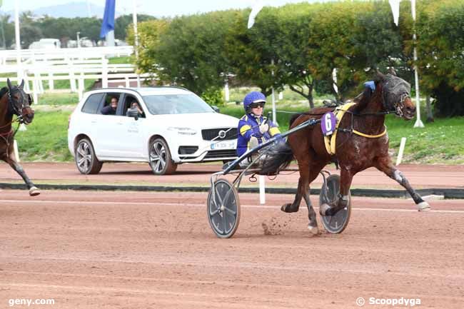 29/02/2024 - Cagnes-sur-Mer - Prix Mister Lucken : Arrivée