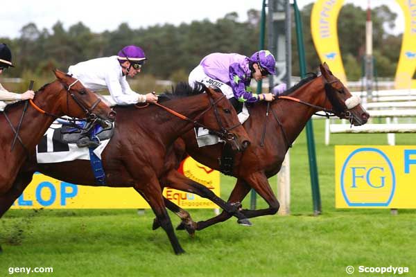 08/10/2024 - Fontainebleau - Prix des Sycomores : Arrivée