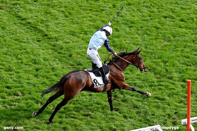 13/10/2024 - Auteuil - Prix Georges de Talhouet-Roy : Arrivée