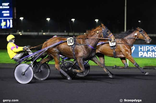 25/11/2024 - Vincennes - Prix de la Camargue : Arrivée