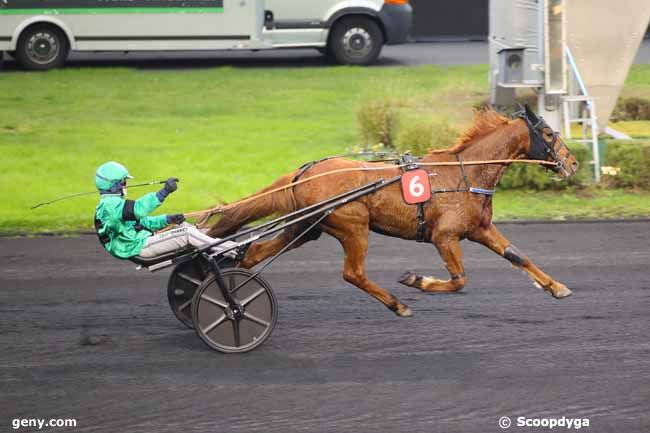 01/12/2024 - Vincennes - Letrot Open des Regions - 4 ans : Ankunft