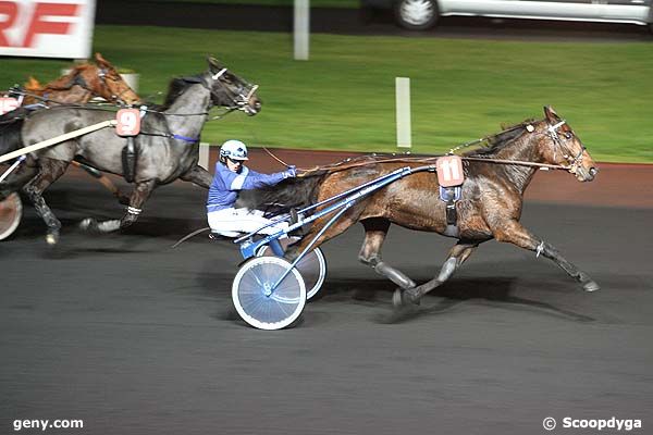 18/11/2008 - Vincennes - Prix Ostara Trophée du Haras de Moscou : Arrivée