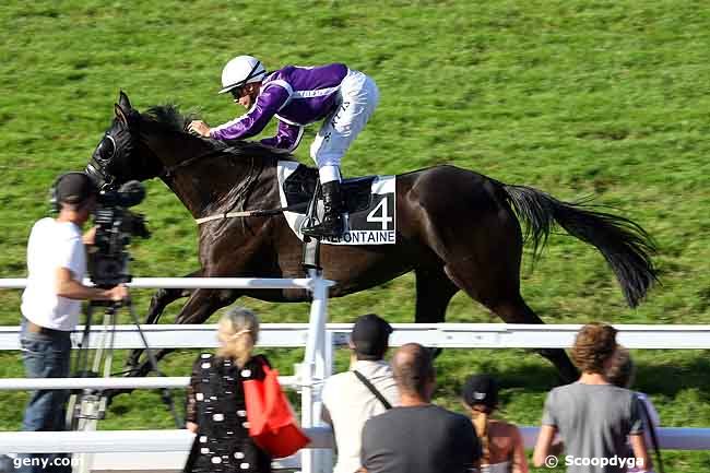 19/08/2010 - Clairefontaine-Deauville - Prix de la Mare aux Canards : Ankunft