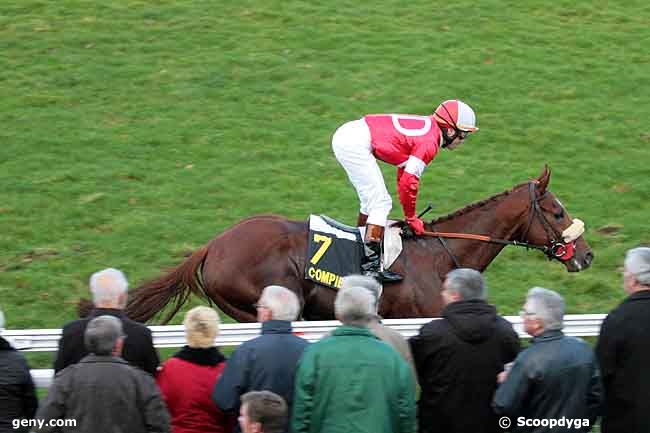 15/11/2010 - Compiègne - Prix du Rond Capitaine : Arrivée