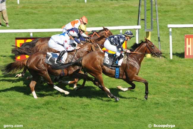 29/09/2011 - Fontainebleau - Prix du Comité Départemental du Tourisme de Seine et Marne : Result