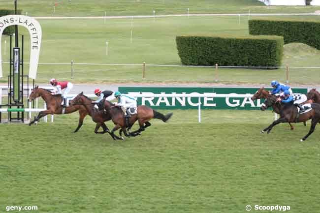 16/04/2012 - Maisons-Laffitte - Prix Phil Drake : Result