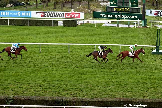 14/11/2013 - Saint-Cloud - Prix de Bessan : Arrivée