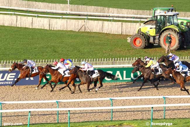 19/11/2013 - Chantilly - Prix Pic'hardy : Result