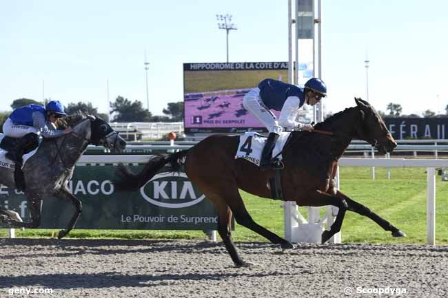 23/01/2018 - Cagnes-sur-Mer - Prix du Serpolet : Result