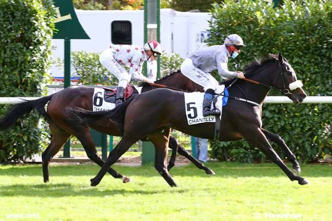 10/10/2020 - Chantilly - Prix de Bonneval : Arrivée