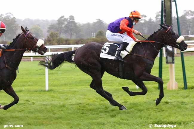 13/10/2020 - Fontainebleau - Prix des Genêts : Arrivée