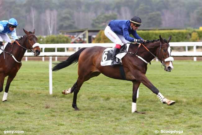 03/03/2022 - Fontainebleau - Prix des Heronnières : Arrivée