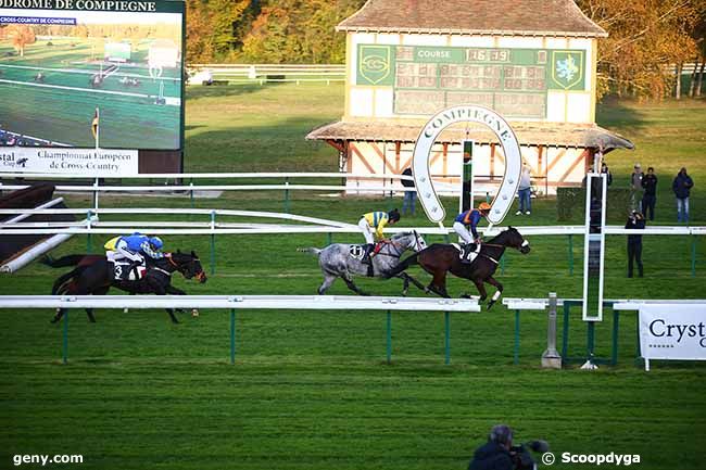 11/11/2022 - Compiègne - Grand Steeple-Chase-Cross-Country de Compiègne : Ankunft