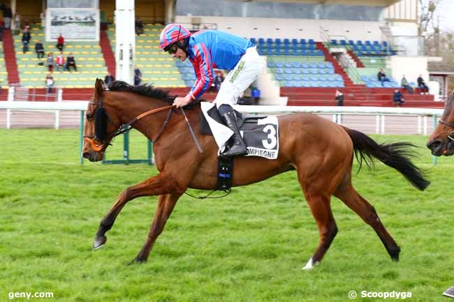 30/03/2023 - Compiègne - Prix de Dinard : Arrivée