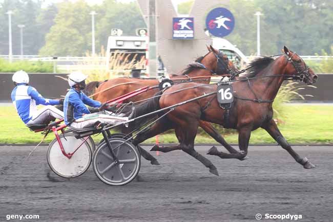 31/08/2024 - Vincennes - Prix de Molay : Arrivée