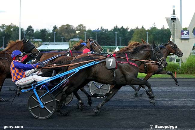 04/10/2024 - Vincennes - Prix Ludovica : Arrivée