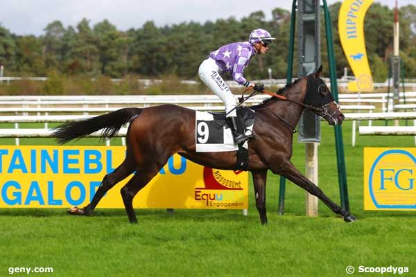 08/10/2024 - Fontainebleau - Prix des Biches : Arrivée