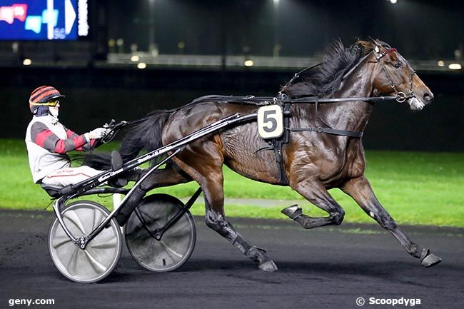 09/11/2024 - Vincennes - Prix de Jonchéry : Arrivée