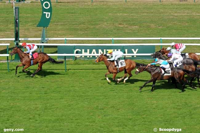 22/09/2009 - Chantilly - Prix de la Capitainerie : Arrivée