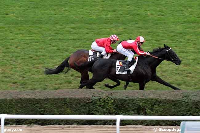 18/11/2010 - Saint-Cloud - Prix du Lieu Marmion (gr A) : Arrivée