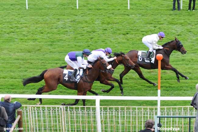 18/10/2012 - Fontainebleau - Prix des Buis : Arrivée