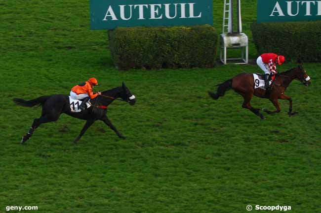 23/11/2014 - Auteuil - Prix Georges Courtois : Arrivée