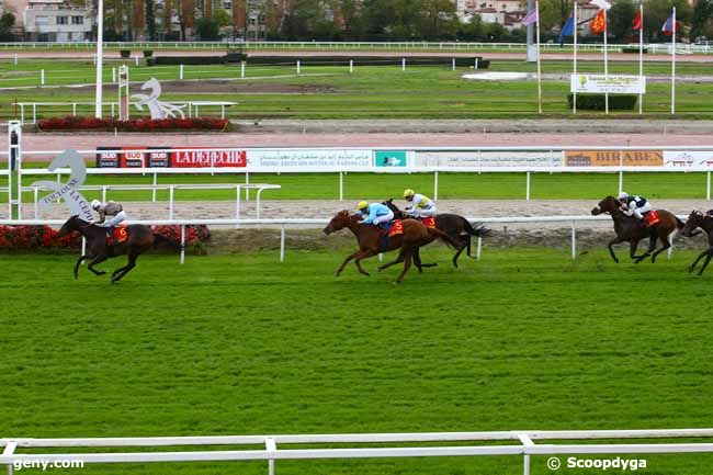 11/11/2016 - Toulouse - Critérium du Languedoc - Prix Bernard de Marmiesse : Ankunft