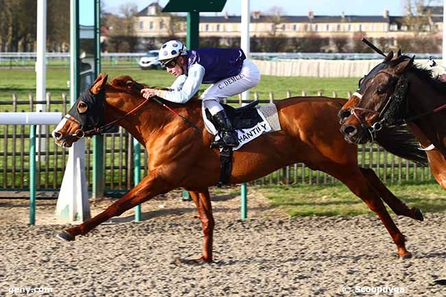 13/03/2020 - Chantilly - Prix de Puiseux-En-France : Arrivée