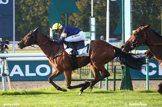 09/09/2023 - Chantilly - Prix de l'Impasse Souchier : Arrivée