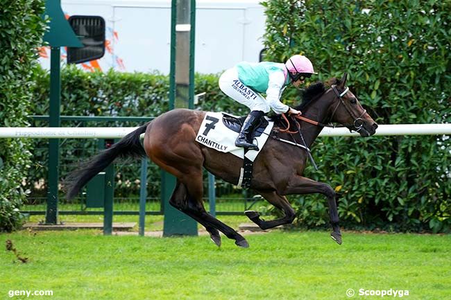 03/10/2024 - Chantilly - Prix du Jardin Anglais : Ankunft