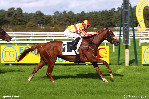 08/10/2024 - Fontainebleau - Prix Artus de Maille : Arrivée