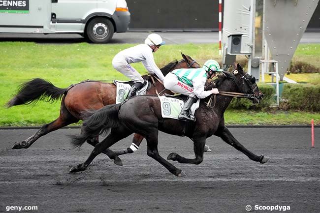 31/12/2024 - Vincennes - Prix de Mende : Arrivée