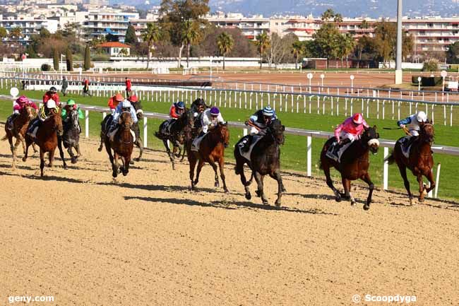 13/01/2025 - Cagnes-sur-Mer - Prix du Languedoc : Arrivée