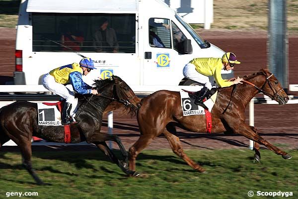 05/12/2007 - Marseille-Borély - Prix Pierre Massot : Arrivée