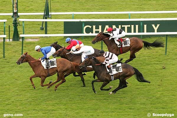 16/06/2008 - Chantilly - Prix des Maroseaux : Ankunft