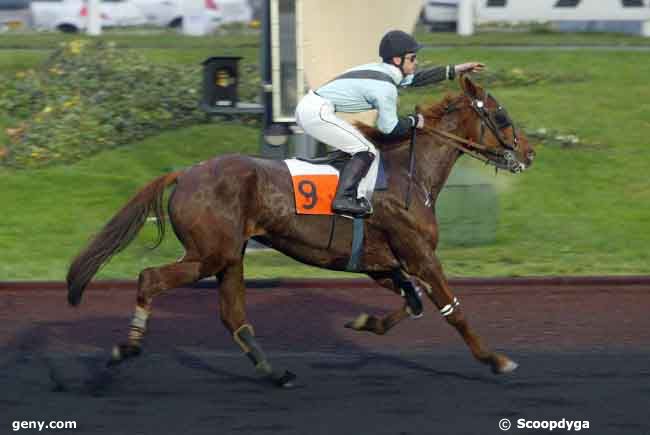 18/12/2008 - Vincennes - Prix de Vannes : Ankunft