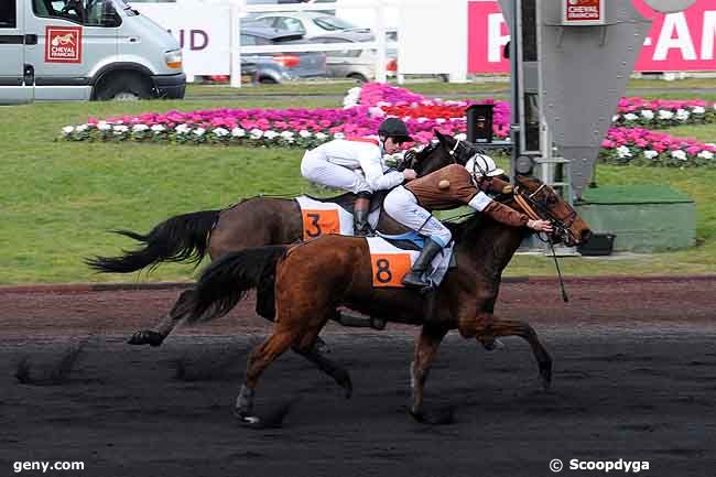 24/01/2009 - Vincennes - Prix de Plessé : Arrivée