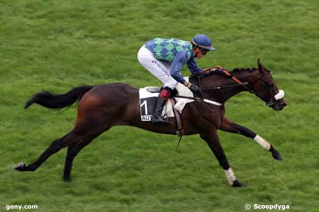 03/09/2009 - Auteuil - Prix des Platanes : Ankunft